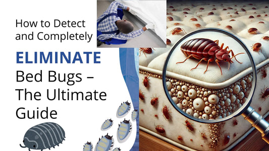 How to Detect and Completely Eliminate Bed Bugs – The Ultimate Guide - Marc Universal Store